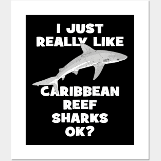 I just really like Caribbean reef sharks ok? Posters and Art